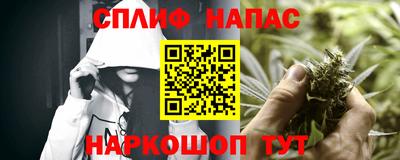 индика Аша