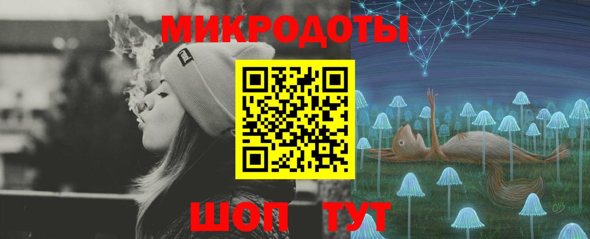 Камень-на-Оби  Псилоцибиновые грибы мухоморы  Псилоцибиновые грибы ЛСД  Вход с VPN 